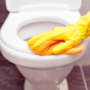 tork toiletbrilreiniger